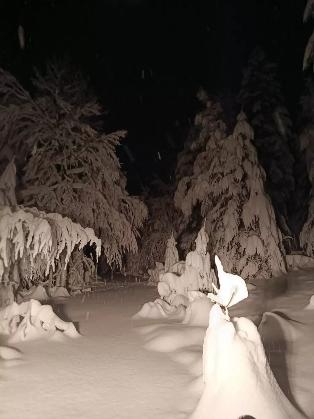 Veillée contée en dameuse