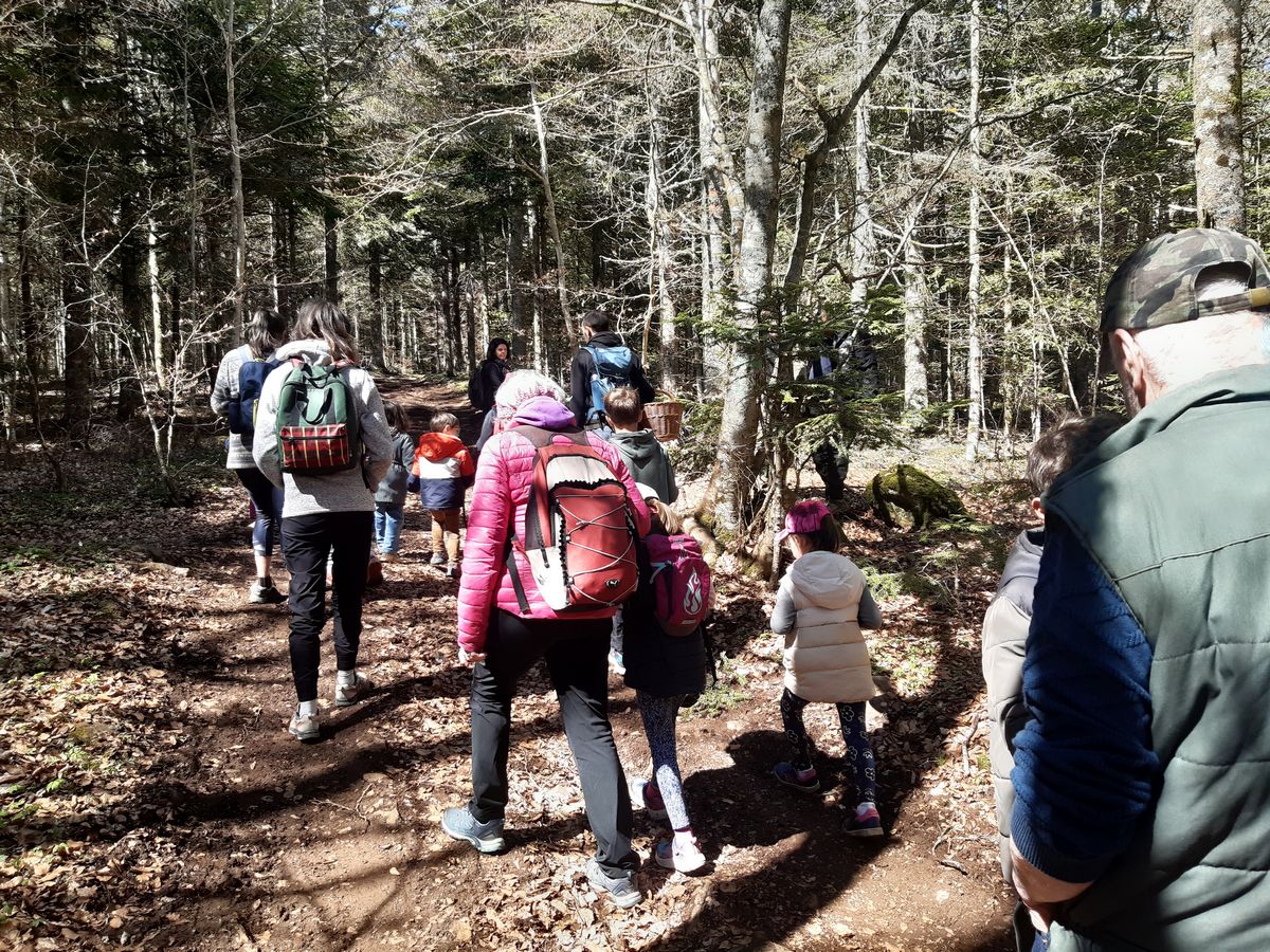 Des jeux, du volcanisme et un trésor dans les Monts Breysse